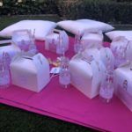 Cajitas picnic personalizadas