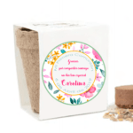 KIT-CULTIVO-REGALO-ORIGINAL
