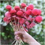 brochetas chuches